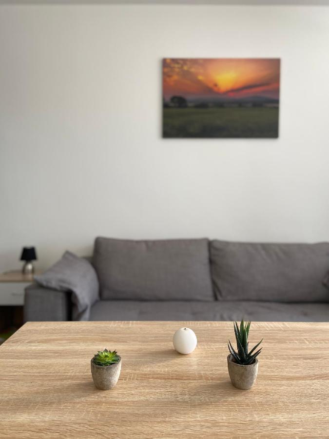 Grand Studio Confortable Et Spacieux Avec Terrasse Villeneuve-lès-Maguelonne Eksteriør bilde